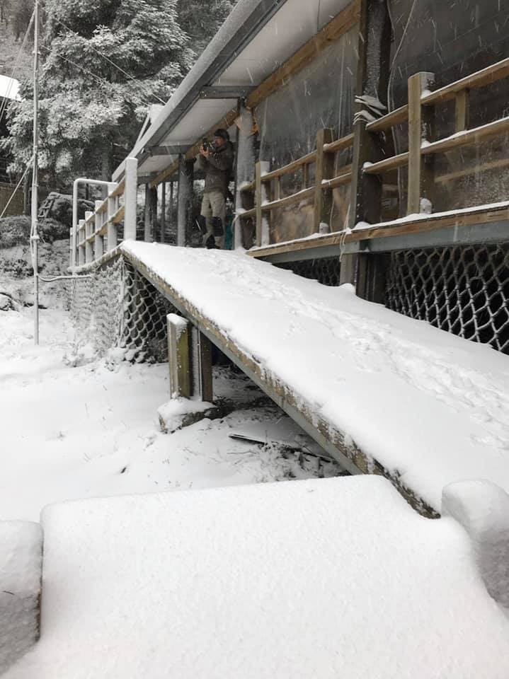 ▲▼台東嘉明湖天使的眼淚雪白世界。（圖／嘉明湖國家步道管理處）