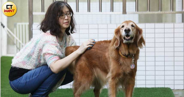 陳碧文因家中愛犬接連離世，決定將死別的悲傷化作大愛，擔任導盲犬寄養家庭以培育「開路天使」。（圖／趙世勳攝）