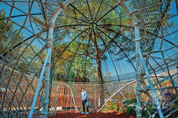動物園保留從前的大鳥籠空間，讓小朋友可攀爬繩網，大人則能體會身處鳥籠內的感受。 