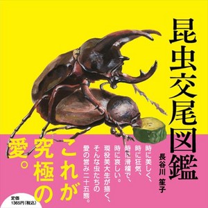 重口味慎入！蟲蟲也有「江戶48手」？