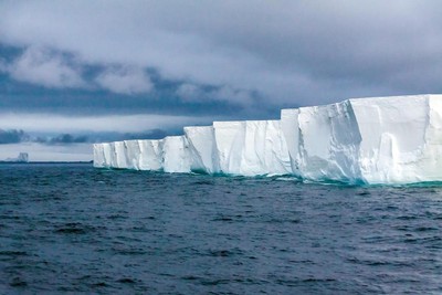 企鵝數量狂減50%　南極史上最熱「台北還比較冷」　科學家：非常不正常