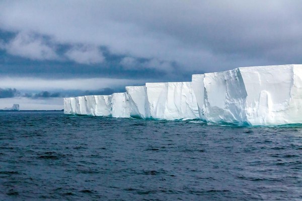 暖化警訊！南極飆20.75度高溫破紀錄　融冰害企鵝沒家住