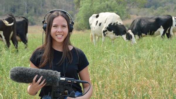 ▲▼ 雪梨大學博士學位學生亞歷山德拉·格林（Alexandra Green）分析小母牛的聲音代表不同情緒。（圖／翻攝自https://sydney.edu.au/news-opinion/news/2019/12/19/stand-out-from-herd-how-cows-communicate.html）