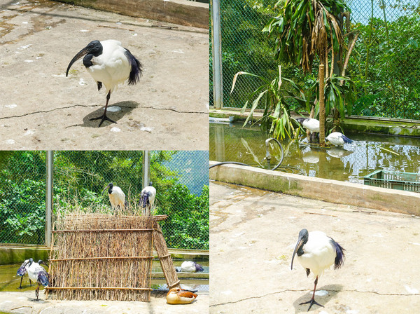 ▲鳳凰谷鳥園生態園區。（圖／臉書粉絲專頁《來飽寶家ba》提供，請勿隨意翻拍，以免侵權。）