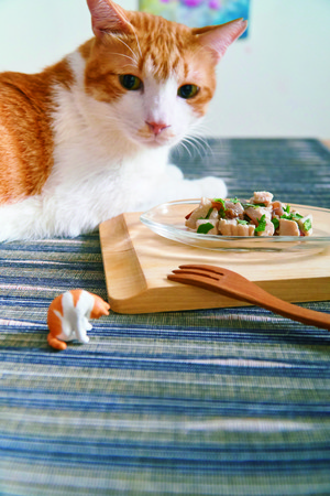 ▲▼布克文化《好味小姐的日常貓鮮食料理：簡單、快速、便宜、方便，輕鬆做出營養均衡貓鮮食正餐！》