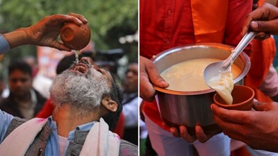 叫民眾「喝牛尿抗疫」！印宗教領袖：新冠肺炎是「神給葷食者的處罰」