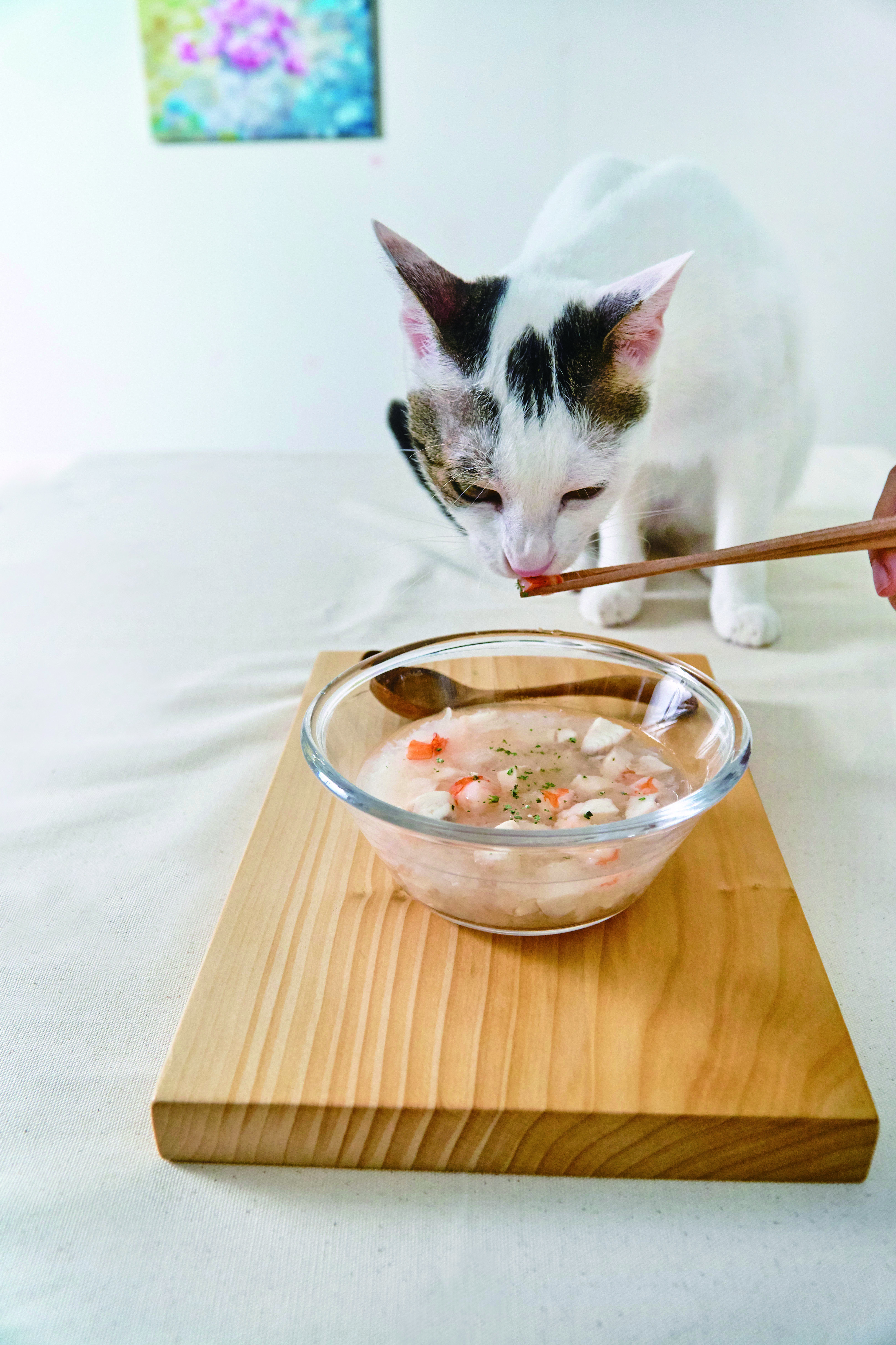 ▲▼ 布克文化《好味小姐的日常貓鮮食料理：簡單、快速、便宜、方便，輕鬆做出營養均衡貓鮮食正餐！》