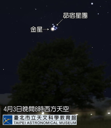 ▲最大滿月vs最小滿月,金星會昴宿。（圖／臺北市立天文科學教育館提供）