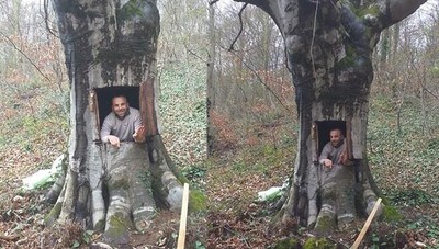 挖空樹幹當「防疫樹屋」 男子拍片哈囉Corona　土耳其林務局怒辦