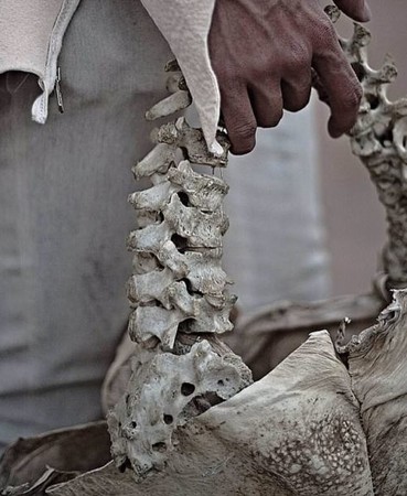 ▲Arnold Putra推出人骨包。(圖/翻攝自Arnold Putra IG) ▲Arnold Putra推出人骨包。(圖/翻攝自Arnold Putra IG)