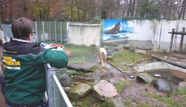 ▲德國北部的新明斯特（Neumünster）動物園。（圖／翻攝自YouTube「Tierpark Neumünster e.V.」）