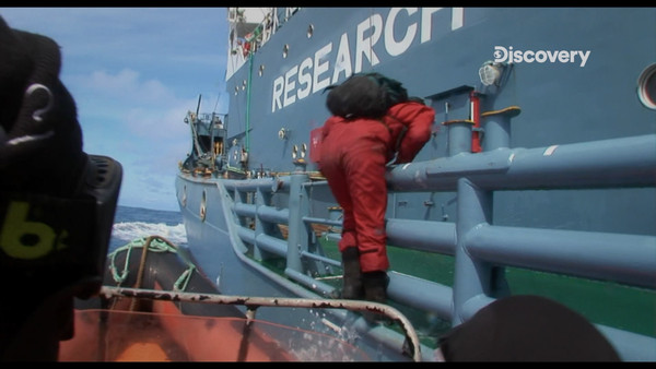 ▲肉身擋船保護海豹！　Discovery向「海洋保育鬥士」保羅沃森致敬。（圖／Discovery授權提供）