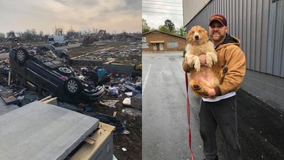 龍捲風來襲「狗狗救了全家人卻失蹤」　流浪2個月…終於找到了