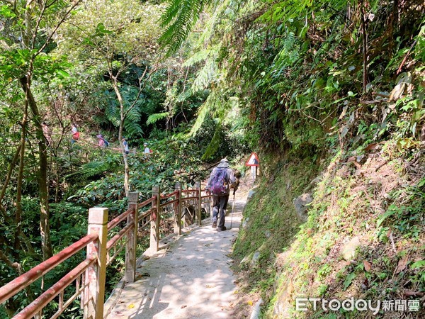 ▲▼五峰旗步道，五峰旗瀑布，五峰旗登山步道。（圖／記者蔡玟君攝）