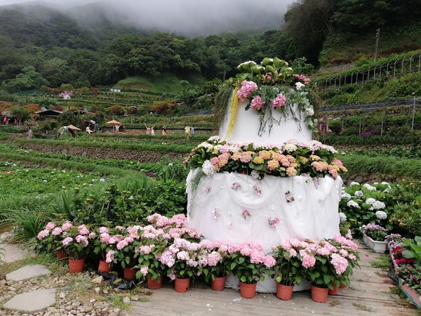 ▲曹家花田香2020年有蛋糕造景。（圖／曹家花田香提供）