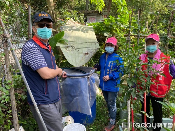▲ 樹林區公所防治登革熱超前部署 儲水容器、髒亂點環境孳清里鄰總動員。(圖/新北市樹林區公所提供) ▲ 樹林區公所防治登革熱超前部署 儲水容器、髒亂點環境孳清里鄰總動員。(圖/新北市樹林區公所提供)