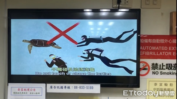 ▲一名遊客小琉球海域把玩海龜被依野生動物保育法送辦            。（圖／記者陳崑福翻攝）