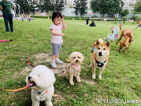 ▲雄獅旅遊「跟著毛寶貝去旅行」為全台旅行社首創。（圖／雄獅旅遊提供）