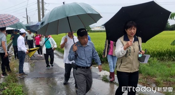 ▲▼行政院中部辦公室執行長蔡培慧（右一）率水土保持局，冒雨勘查南投草屯6條破損嚴重農水路，責成水保局儘速施工改善。（圖／蔡培慧辦公室提供，下同）