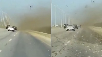 開車遊中東遭遇「沙塵暴」　靠近才知不妙！迎頭撞上蝗蟲大軍