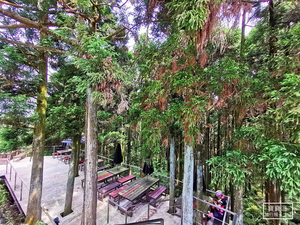 ▲▼熊空茶園。（圖／寶寶溫旅行親子生活提供）