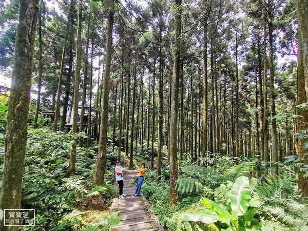 ▲▼熊空茶園。（圖／寶寶溫旅行親子生活提供）