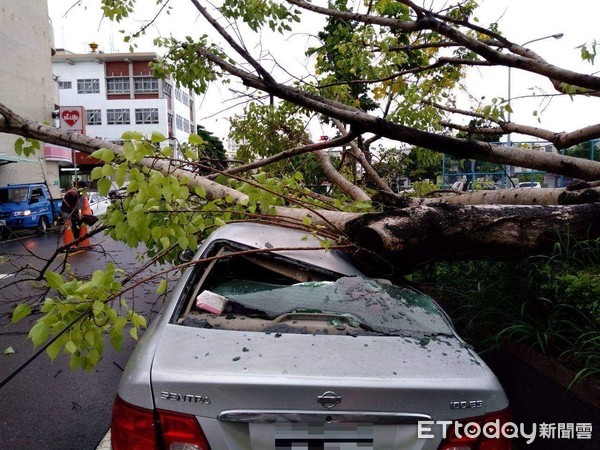 ▲台南市南區南華公園27日清晨發生菩提路樹倒塌，壓損路旁停放的兩台車輛。