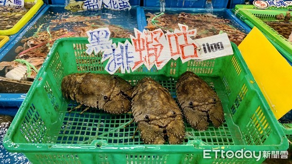 ▲ 海鮮人人愛！口袋不深的消費指南 石門富基漁港海產店家說「這些千萬不要點」。（圖／記者郭世賢攝）