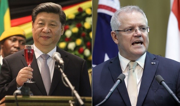 ▲中國國家主席習近平（左）與澳洲總理莫里森（Scott Morrison）。（圖／達志影像／美聯社）