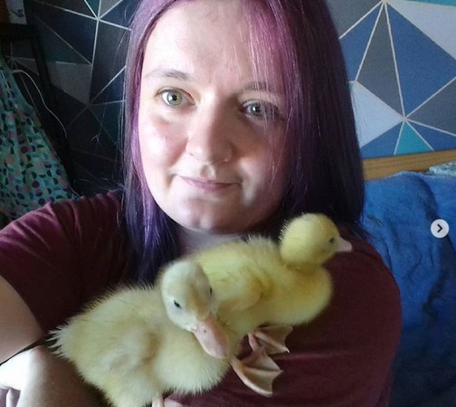 疫情好無聊買「超市鴨蛋」回家玩　1個月後她成功孵出3隻小鴨。（圖／翻攝自Instagram／beeppeepmeep）