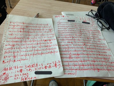 中二學生用「盧恩符文」寫作　老師三小時就破解：付我加班費啦！