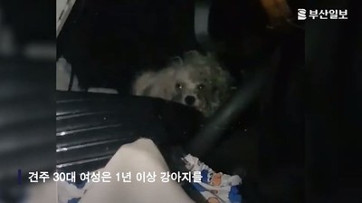 韓女把狗「關在車內逾一年」　車上滿是垃圾、飼料　網震怒卻無法可管