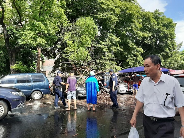 ▲高雄鳳西國中內的一棵老樹不敵風力倒塌，造成三輛車毀壞            。（圖／翻攝大高屏資源分享社團）