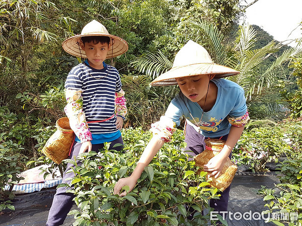 ▲ 神將體驗、牽罟捕魚 新北市圖暑假「在地遊學」親子走讀7/1開跑。（圖／新北市立圖書館提供）