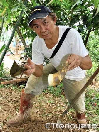 ▲ 新北表揚高學歷綠竹筍博士吳國池 蟬聯勇奪「北區筍王」殊榮。（圖／新北市農業局提供）