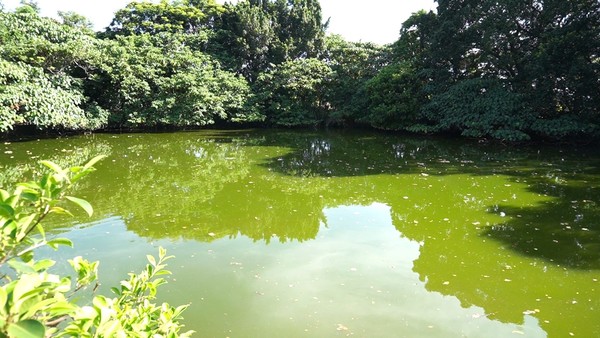 ▲田心仔公園單車綠廊道。（圖／北市政府工務局提供）