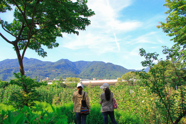 ▲田心仔公園單車綠廊道。（圖／北市政府工務局提供）