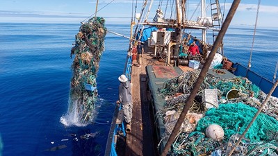 太平洋海底撈出整條「103噸廢棄魚網」 環保總監氣哭：海龜鯨魚全被它卡死