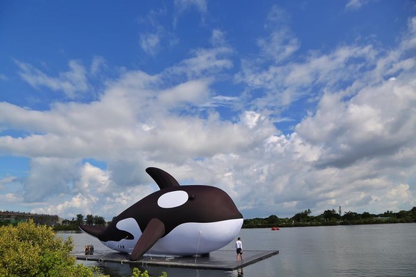 ▲▼安平虎鯨終於下水了。（圖／翻攝自台南旅遊粉絲專頁）