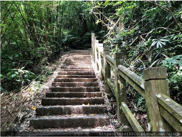 ▲▼桃園谷大草園步道（內寮段）。（圖／圓圓家的移動城堡提供，以下皆同，請勿隨意翻拍以免侵權。）