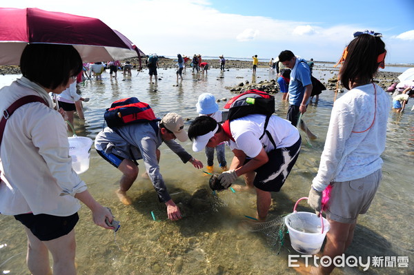 ▲▼觀光,觀光客,國旅,澎湖,旅遊,旅客。（圖／觀光局提供）