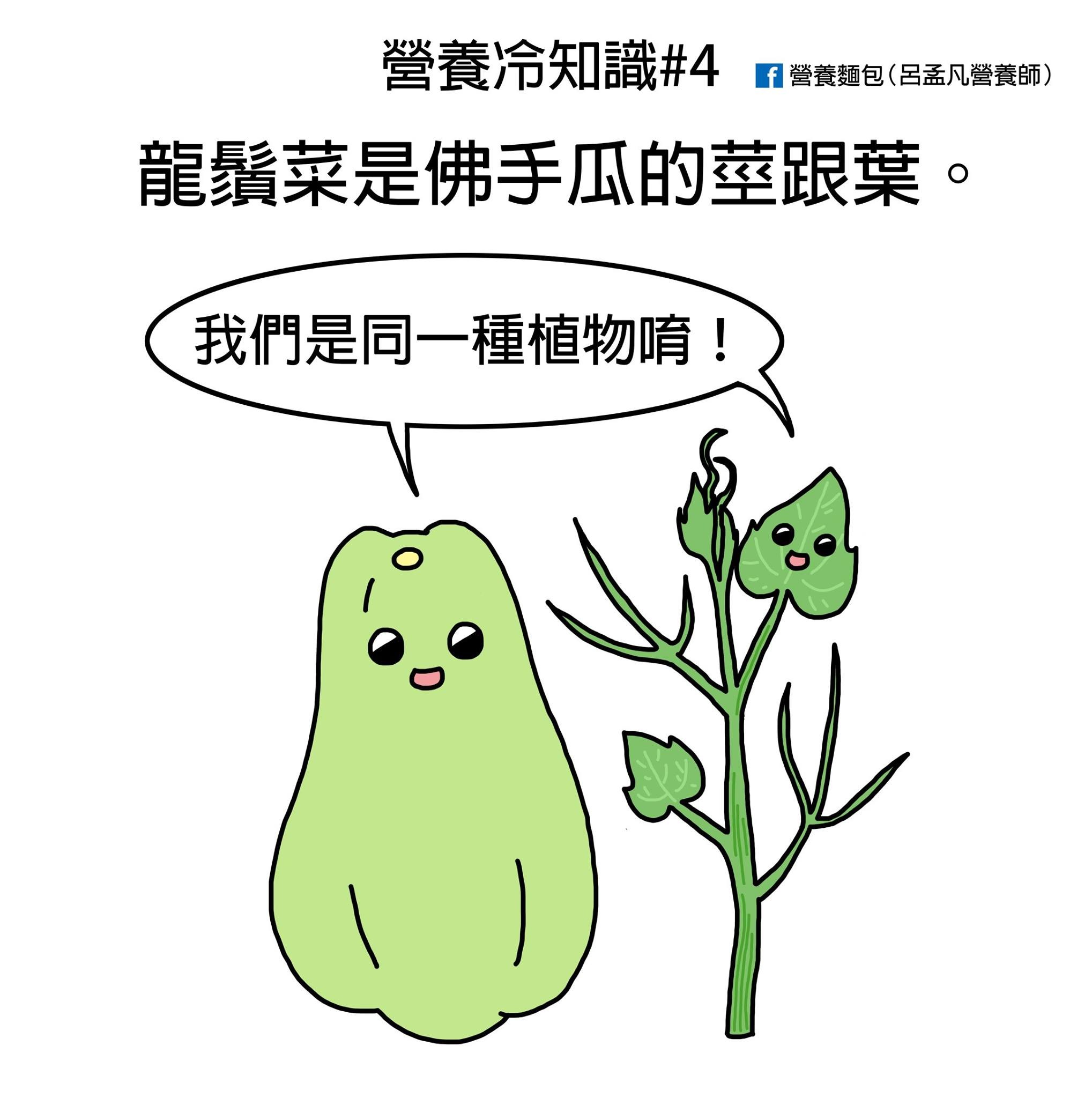 ▲▼龍鬚菜與佛手瓜是同一種植物。(圖/呂孟凡營養師授權提供) ▲▼龍鬚菜與佛手瓜是同一種植物。(圖/呂孟凡營養師授權提供)