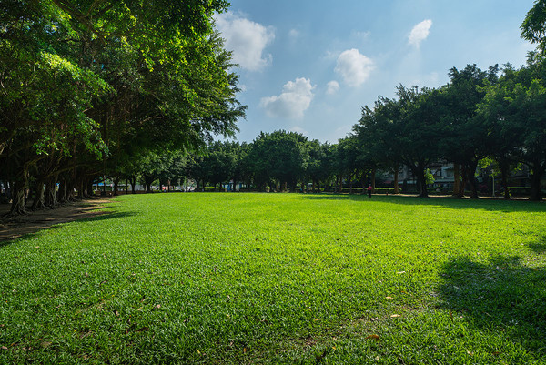 ▲▼興富發,大禾,環河森林公園,江翠北側重劃區。（圖／記者詹宜軒攝）