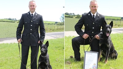 菜鳥警犬首出勤就立功！ 帶隊深入偏遠山谷　找回失蹤兩日母子