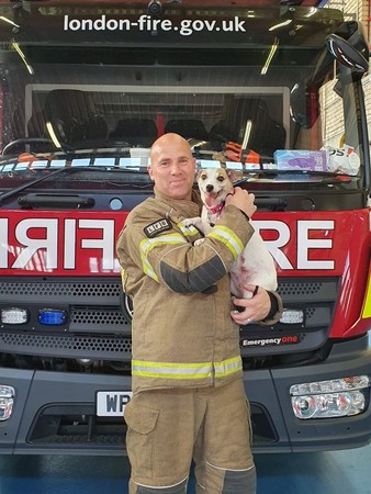 消防犬中途親手救活的小狗。（圖／翻攝自London Fire Brigade臉書）