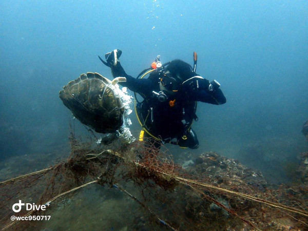 海龜被廢棄刺網纏住，破碎屍體在海底漂盪。（圖／翻攝自行走的故事詩/yanwu臉書）