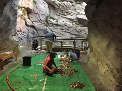 許願池硬幣全被挖出！　水族館為度過難關拿走「遊客的希望」繳帳單