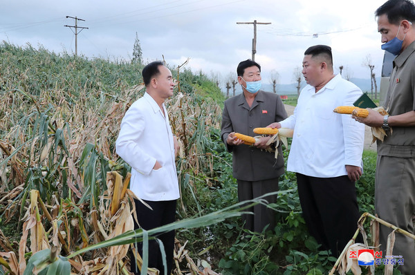 ▲▼北韓領導人金正恩親自視察因颱風「巴威」侵襲受創的黃海南道災區。（圖／路透）