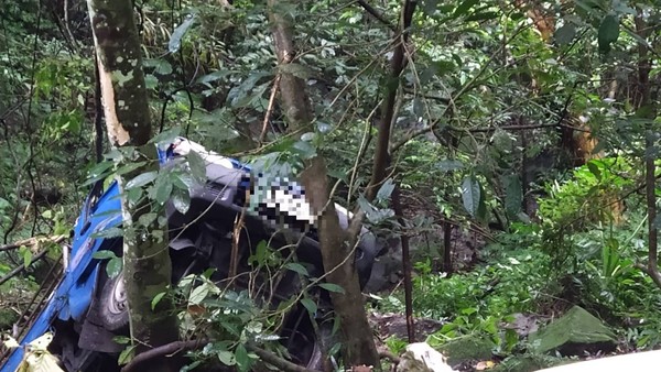 ▲筍農開小貨車載父母上山割筍摔落邊坡。(圖/讀者提供) ▲筍農開小貨車載父母上山割筍摔落邊坡。(圖/讀者提供)