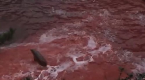 2009年的紀錄片《血色海灣》，揭露太地町漁民每年屠殺約2.3萬隻海豚的事實。(圖／翻拍影片)
